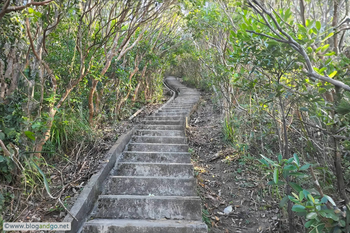Wong Nai Chung to Stanley - Climbing the Twins